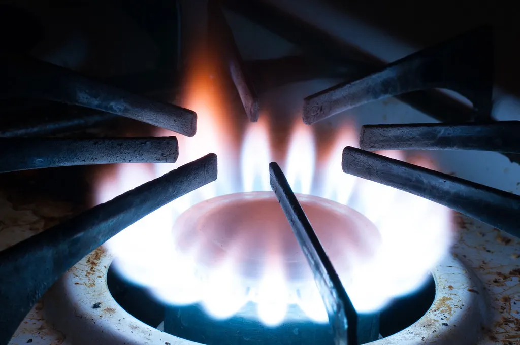 Blue gas flame on a commercial burner